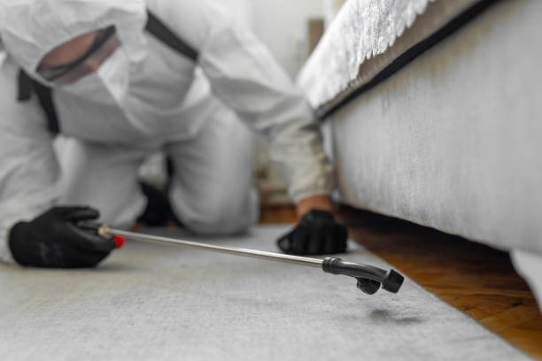 Professional Pest Control technician working in Delta, CO